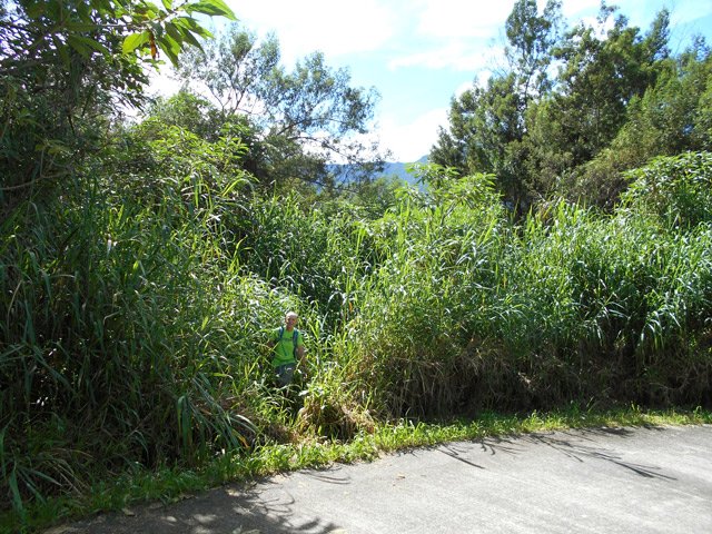 Fin du sentier par 10 mètres de canne fourragère