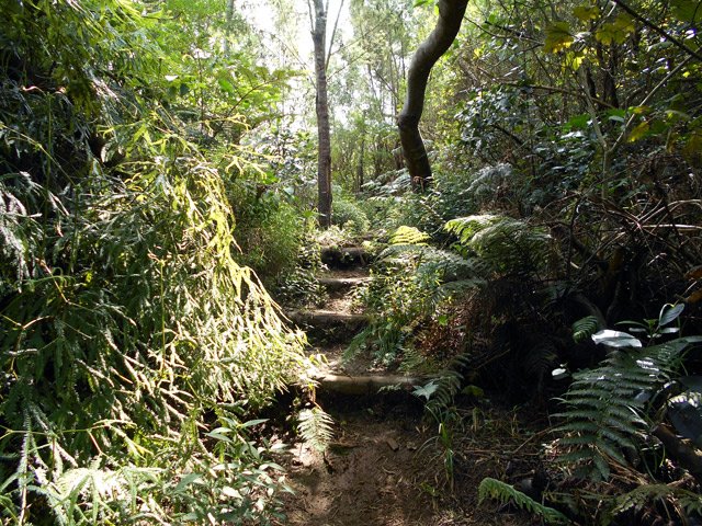 Le sentier n'est pas nettoyé mais on passe facilement