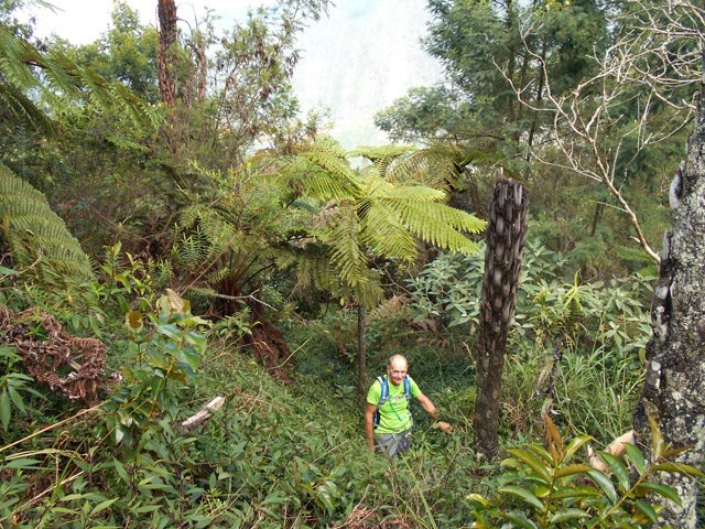 Jouvences et fanjans accompagnent le marcheur avant d'arriver aux trous
