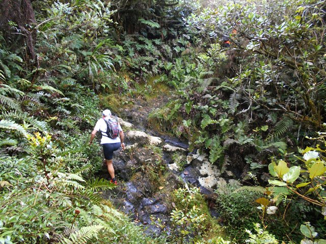 Les ravines du coupe-feu sont glissantes