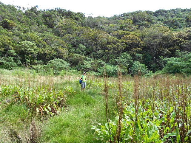 Le fond du Grand Trou de Cissia depuis le puits aux eaux troubles