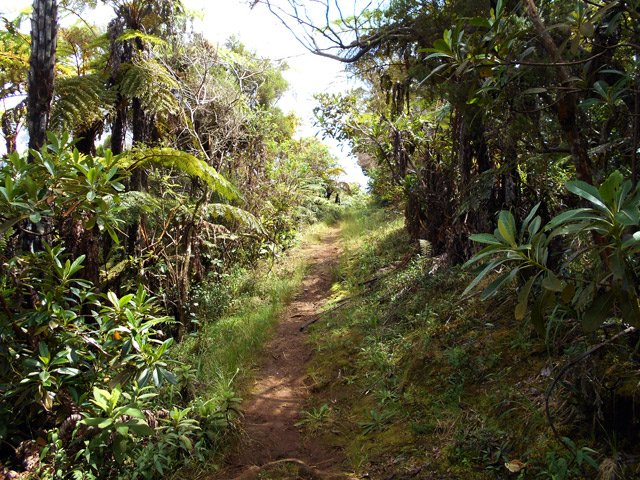 Le sentier des Trous de Cissia, côté sentier de Grand Coude
