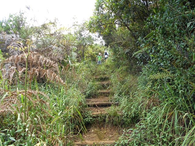Descente vers le parking par une série de marches encore visibles
