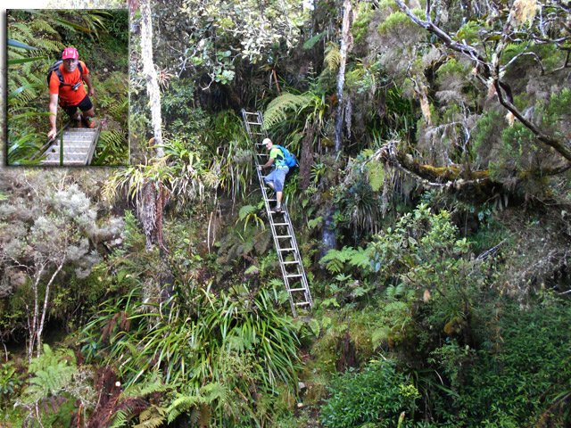 L'échelle est l'élément le mieux conservé !