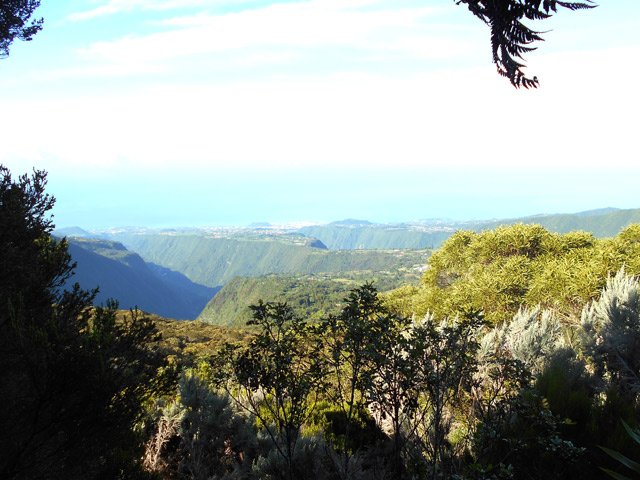 Point de vue sur Grand Coude et Saint-Joseph depuis une trouée dans la végétation