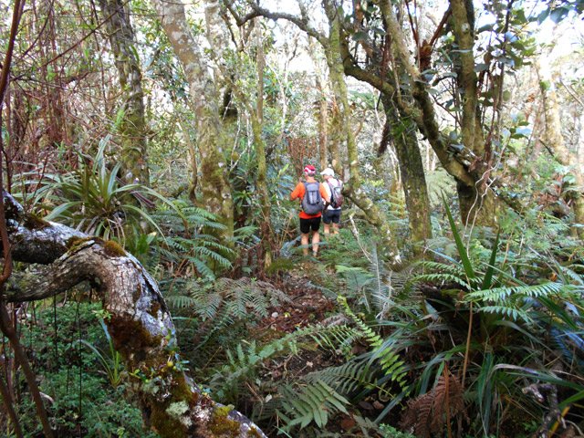 Le sentier de descente semble caché mais il est très visible