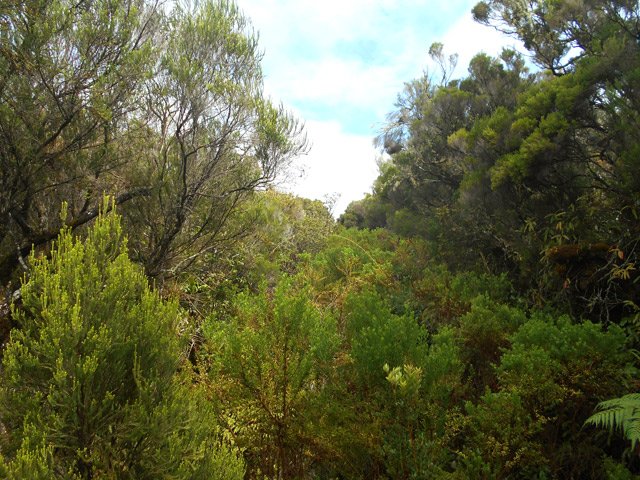 Il ne reste rien du coupe feu. Une seule règle, marcher droit