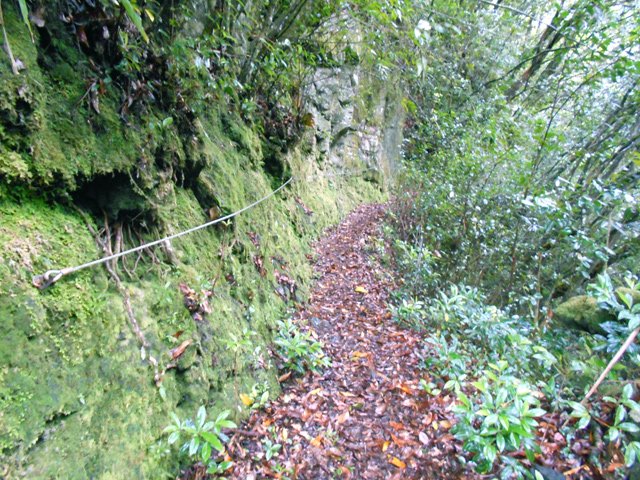 A flanc de falaise et avec les feuilles glissantes, la câble rassure
