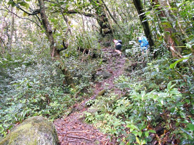 Forte pente sur sentier de bonne qualité