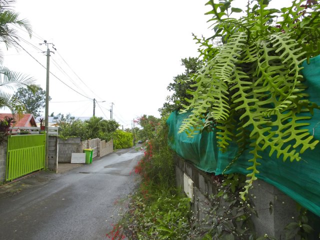 Le Chemin Ducasteing entre les cases fleuries