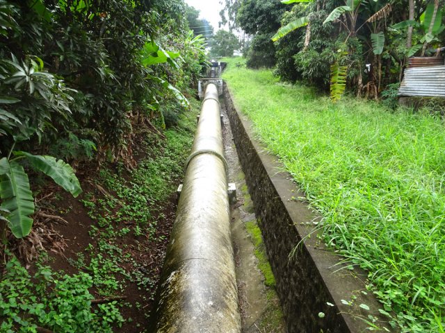 Une centaine de mètres le long de la canalisation est herbeuse