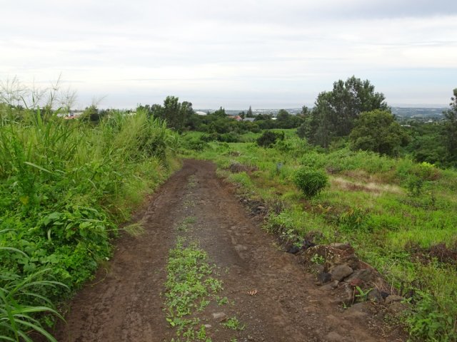 La piste qui rejoint plus loin le Chemin Gilbert Hibon