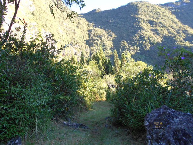La boucle revient vers l'aire de pique-nique