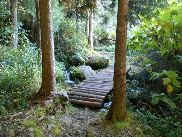 Passerelle pour franchir un affluent de la Ravine Blanche