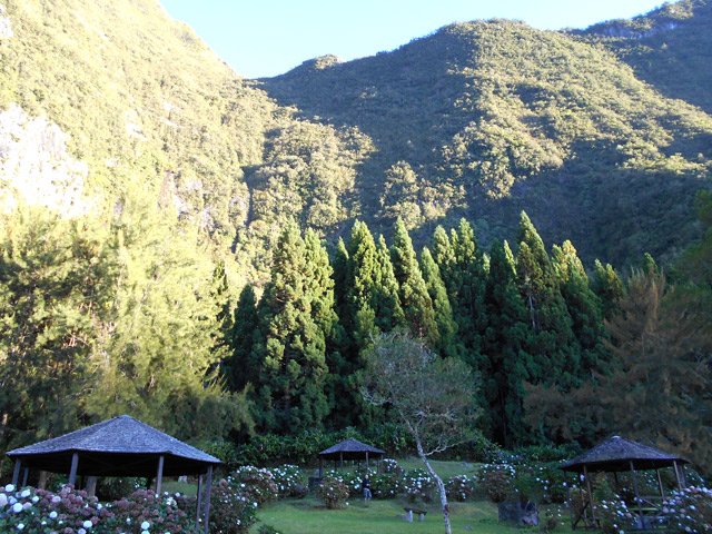 Superbe endroit bordé d'hortensias pour pique-niquer