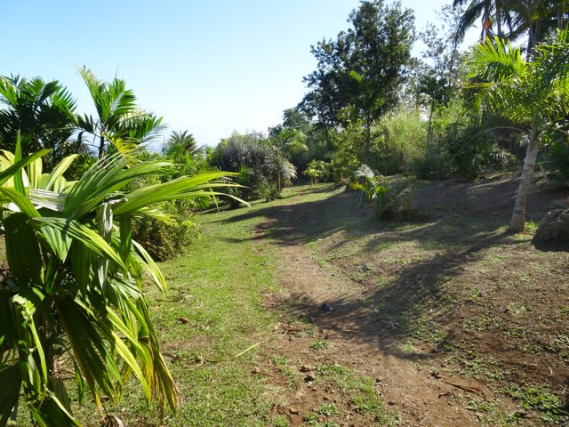 Ne pas hésiter à emprunter les sentiers pour s'éloigner du béton