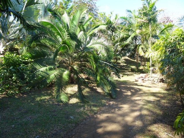 Parties ombragées si l'on veut s'arrêter