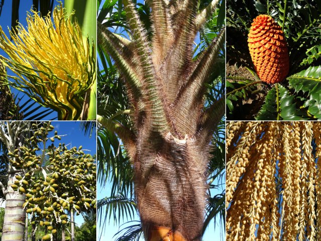 Il y a toujours quelque chose à découvrir