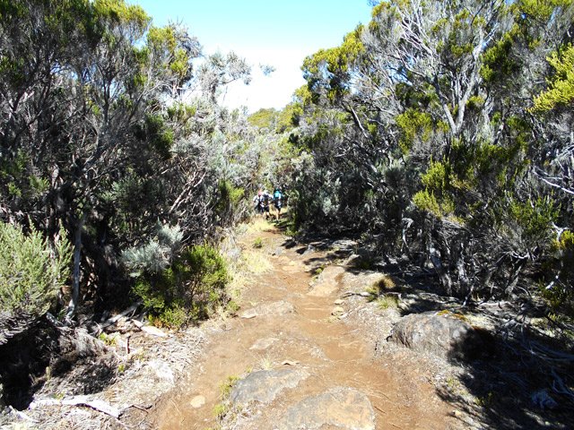 Le grand repos sur le Sentier Jacky Inard