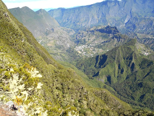 Les forêts de filaos et d'eucalyptus du départ sont déjà bien lointaines