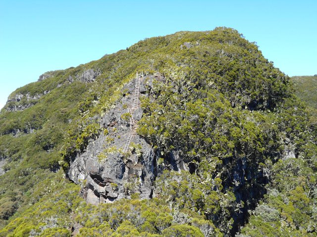 80 échelles comme celles-ci auraient facilité la montée verticale du Rempart des Calumets