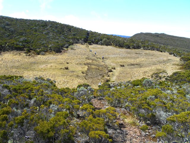 Marécages à sec en montant au Sommet de l'Entre Deux