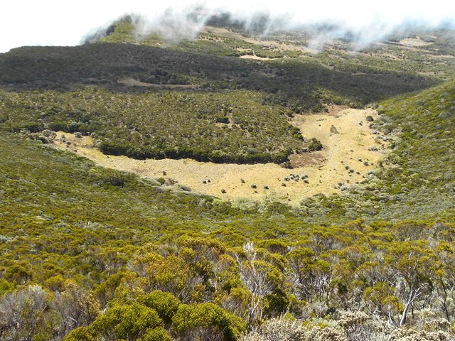D'autres marécages attendent au pied de la descente
