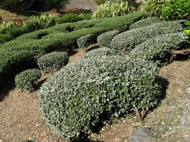 Le parc est toujours très bien entretenu
