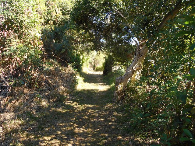 Une portion de piste herbeuse et propre dans la montée vers la canalisation