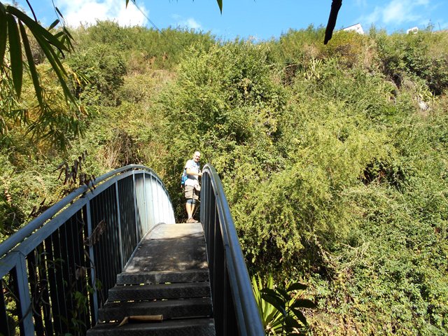 La passerelle qui domine la Ravine la Plaine