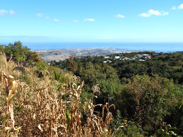 Vues imprenables sur le Port depuis certains points de Sans Souci