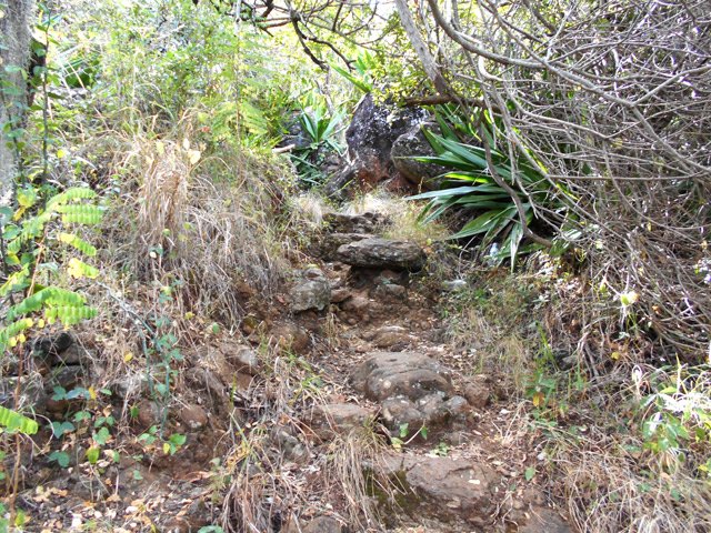 La descente, parfois caillouteuse, vers la passerelle sur la Ravine la Plaine