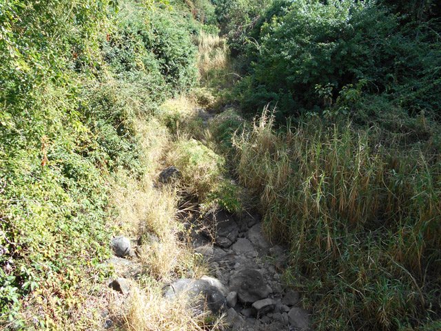 On repère facilement l'étroit sentier depuis la passerelle