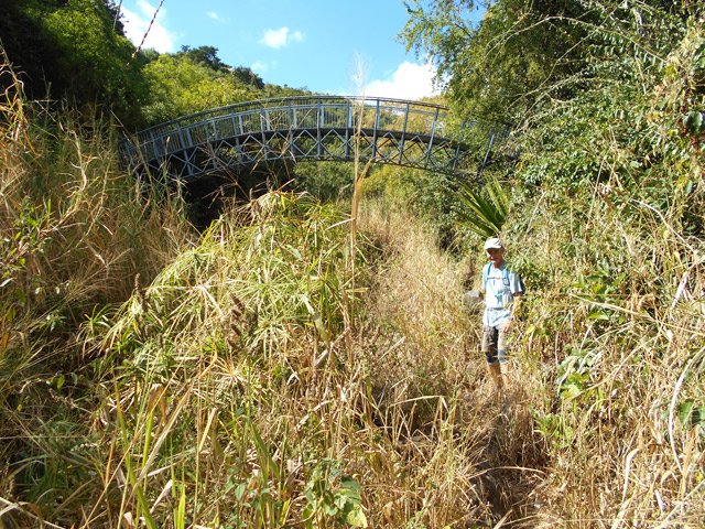 Le sentier est envahi d'herbe mais facile à suivre