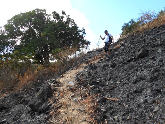 L'herbe a brûlé partout sauf sur le sentier mais ne tardera pas à repousser