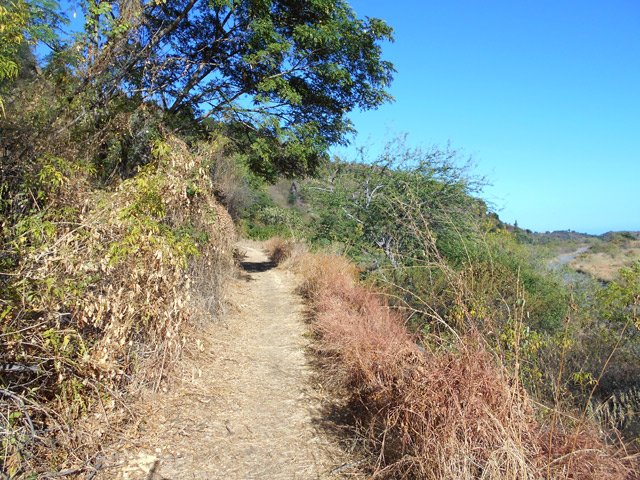 Partie plate du sentier, large et agréable
