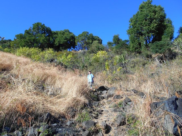 Une autre portion de la montée, très raide sur galets entourés de savane