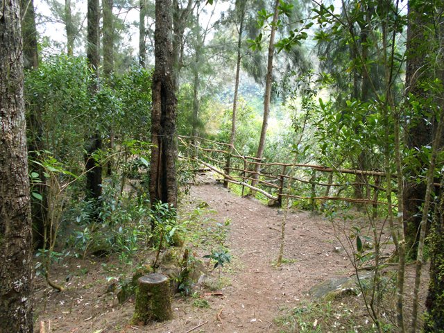 Point de vue sur la cascade la Fouillée