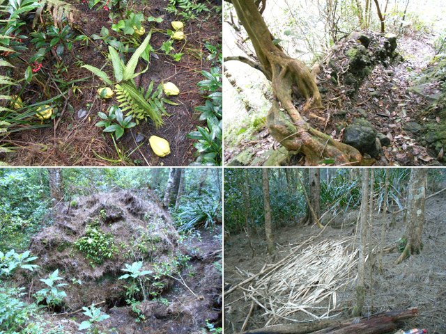4 repères : chouchous, racine de bois maigre, filao couché, trace de bivouac