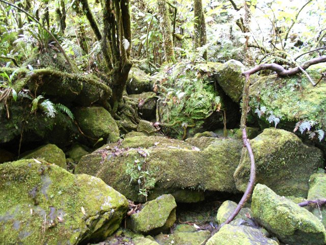 Belles portions rocheuses vers le Bras des Mousses