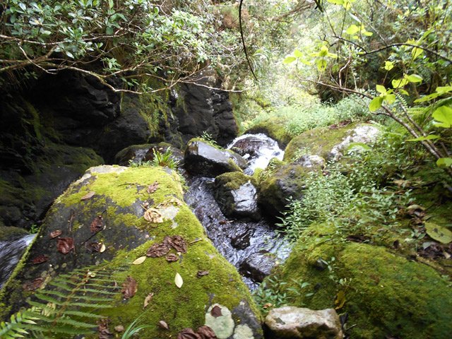 Vertigineuse plongée du Bras des Mousses au départ des canyoneurs
