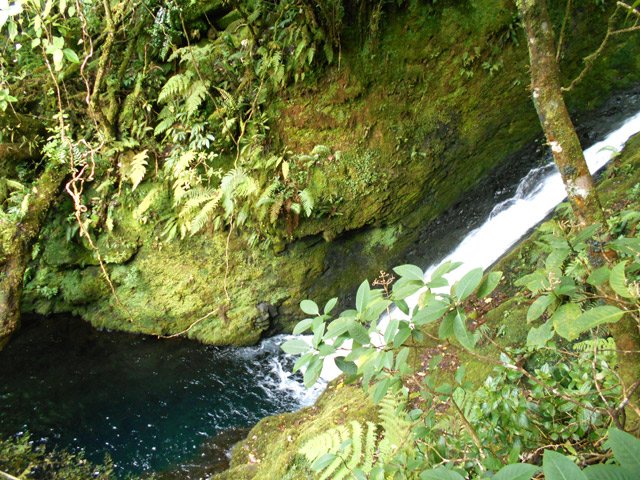 Le sentier se poursuit vers le Cap Blanc en passant au-dessus de la cascade du Bras des Mousses