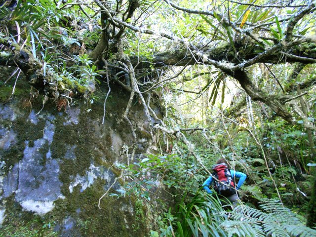 Ce rocher et son arbre sont un autre point de repère à ne pas manquer