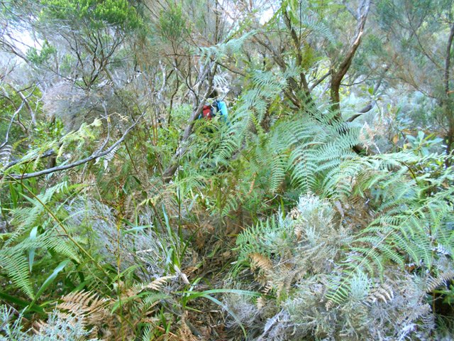 Le terrain se couvre de plus en plus de branles et de bois de couleurs