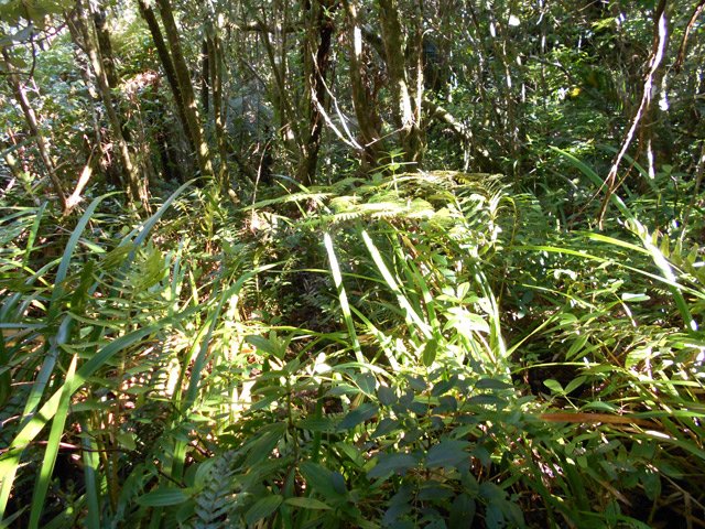 Ce sont les portions de sabres qui sont les plus aptes à l'égarement