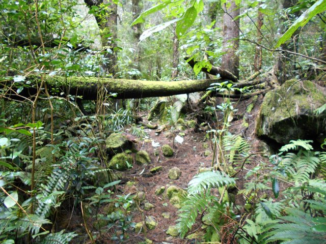 Repère pour savoir si on est sur le bon sentier