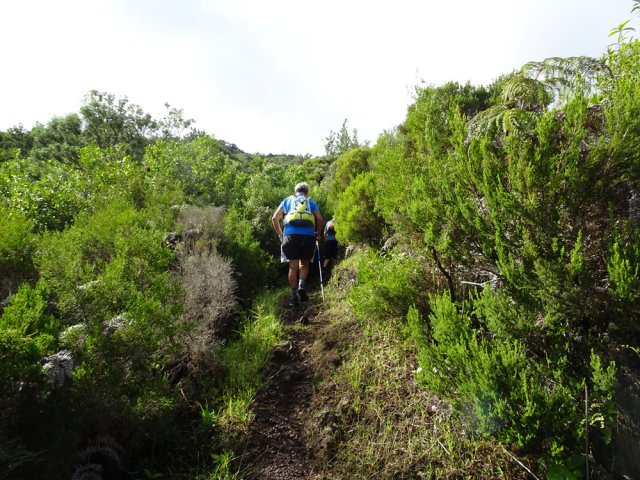 La suite de la montée s'effectue sur un rein couvert de branles