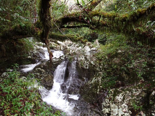 Coin sauvage en aval d'une haute cascade