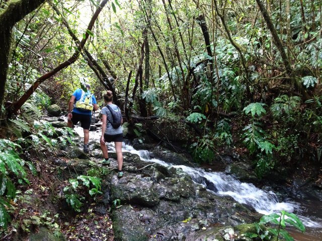 Remonter d'une dizaine de mètres la Ravine du Coteau Rouge