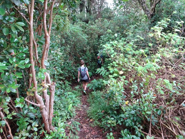 Début de la descente vers l'Espérance les Hauts